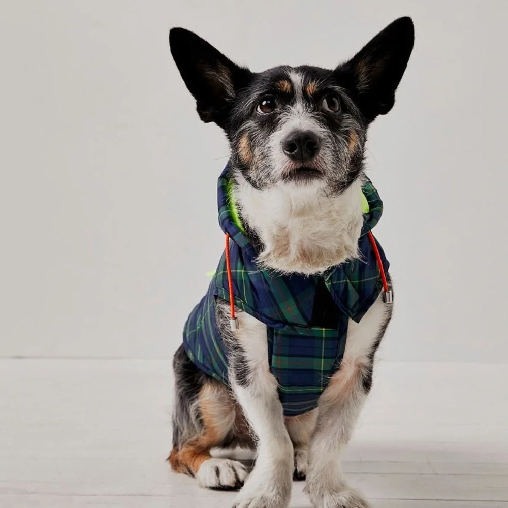 NWT Free People X Ware of the Dog Green and Blue Dog Jacket